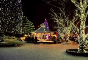 Pergola parc jardin hiver