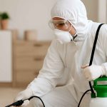 Parasites domestiques : trouver des experts près de chez vous