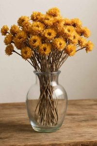 Un bouquet de fleurs immortelles séchées dans un vase en verre sur une table en bois rustique