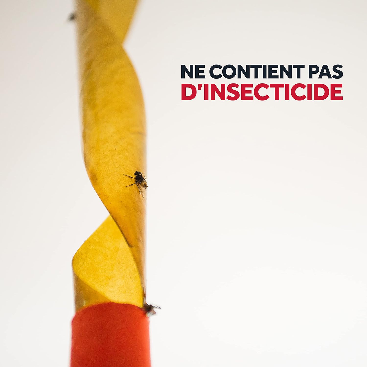 Baygon Rubans Attrape-Mouches